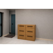 Shoe cabinet