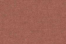 21-Autumn   +550 грн. 