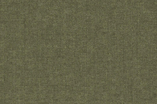 45-Olive   +550 грн. 